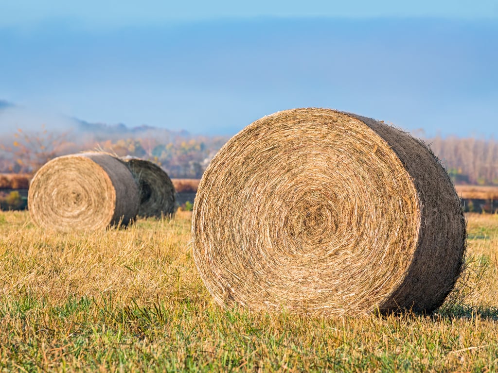 Hay Wraps