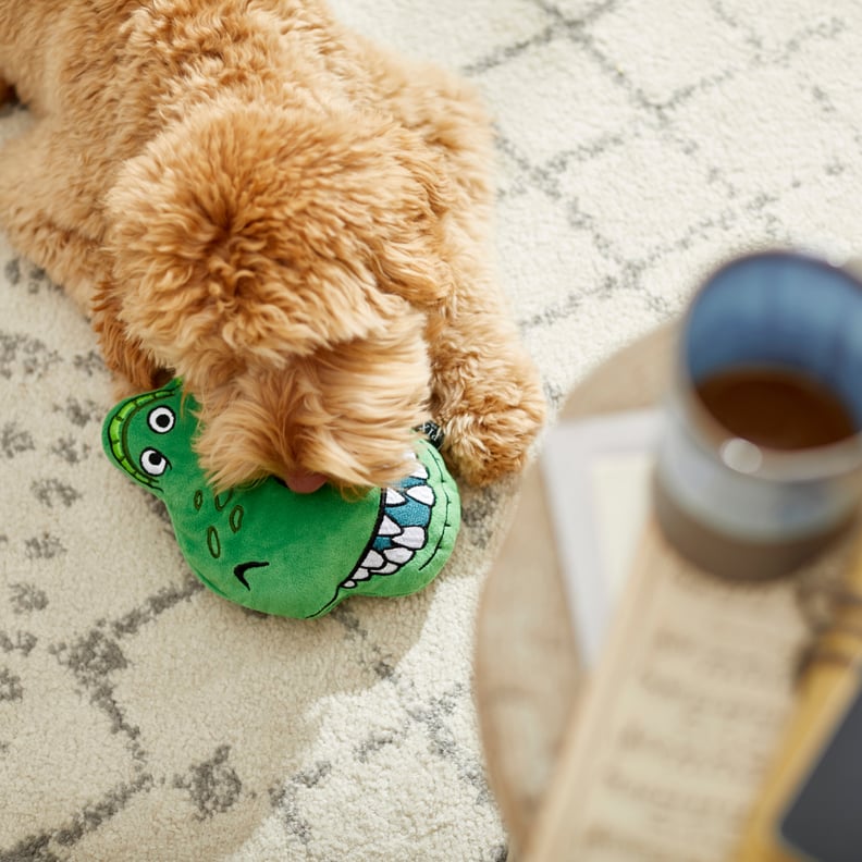 Pixar Rex Round Plush Squeaky Dog Toy