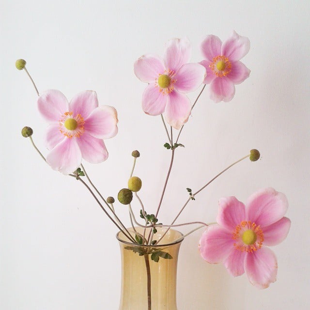 A sparse vase of anemones makes for a playful arrangement. 
Source: Instagram user annasdrawingroom