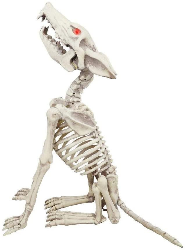 28" Animated Howling Skeleton Wolf