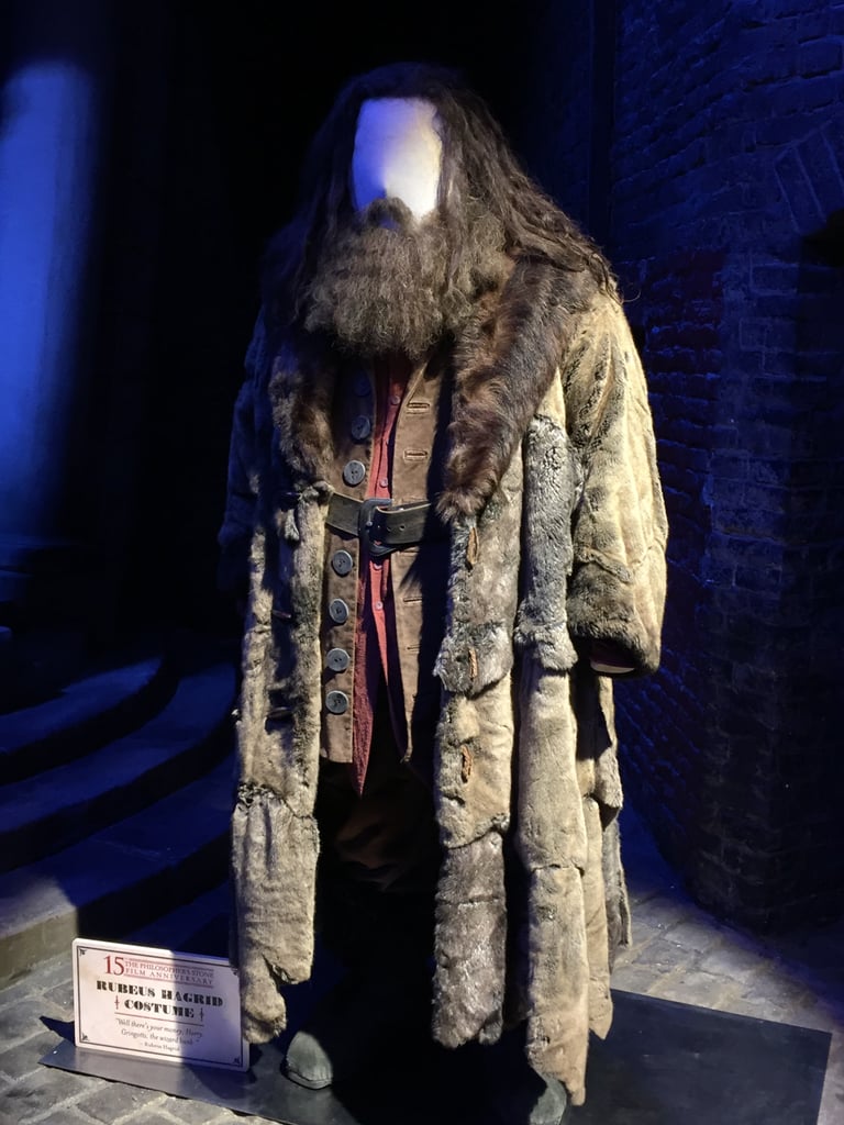 Here's Hagrid's costume on display in Diagon Alley.