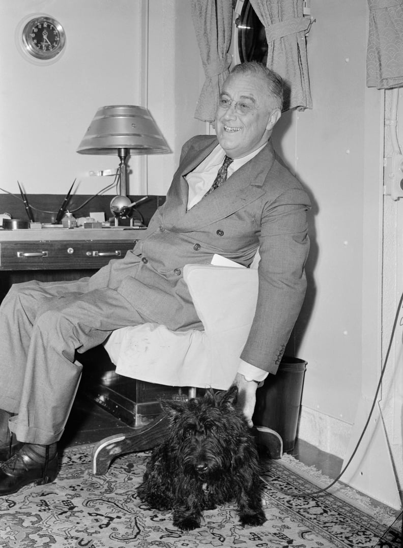 Franklin D. Roosevelt and His Dog, Fala