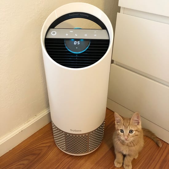 TruSens Air Purifier Review