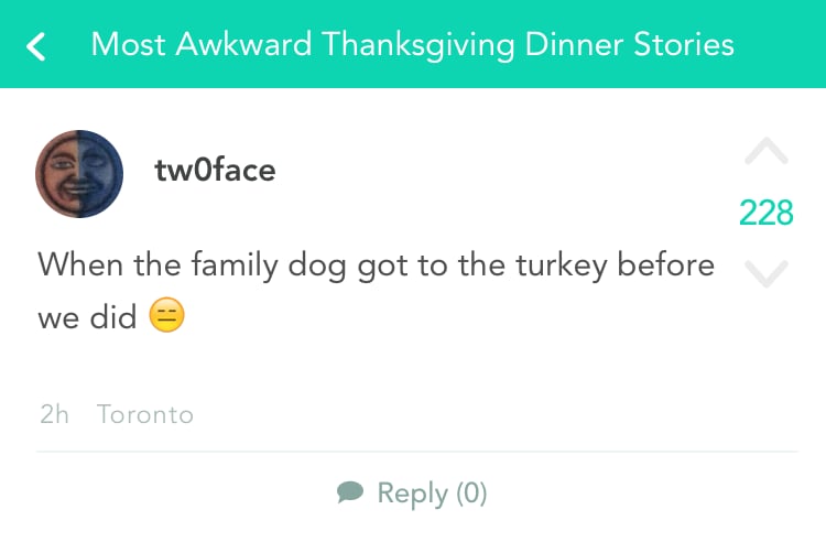 Don't Forget to Be Thankful For Your Pet . . . Even if They Mess Up Dinner.