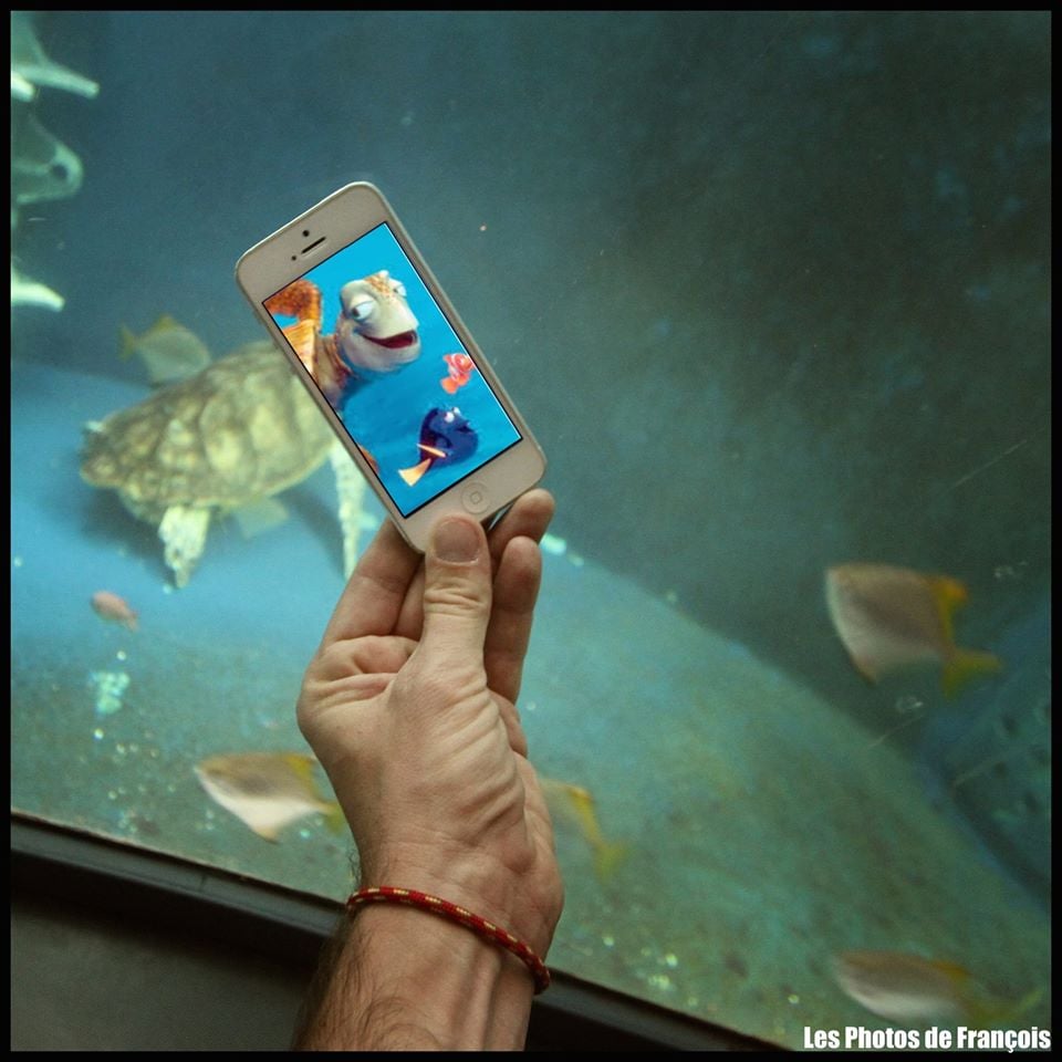 for iphone instal Finding Nemo