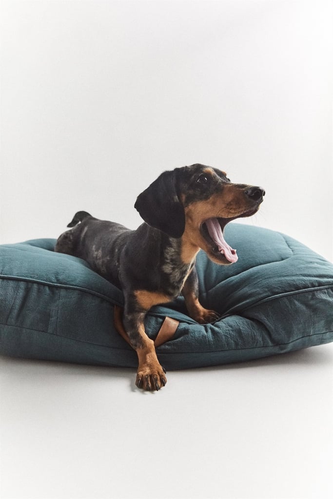 Large Bed Zara Pet Collection POPSUGAR UK Pets Photo 11