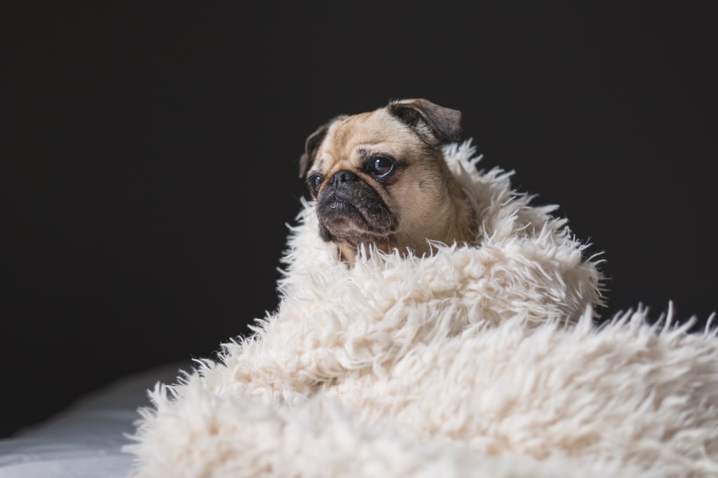 Stock up on blankets in every room of the house. Stock up on blankets in every room of the house.