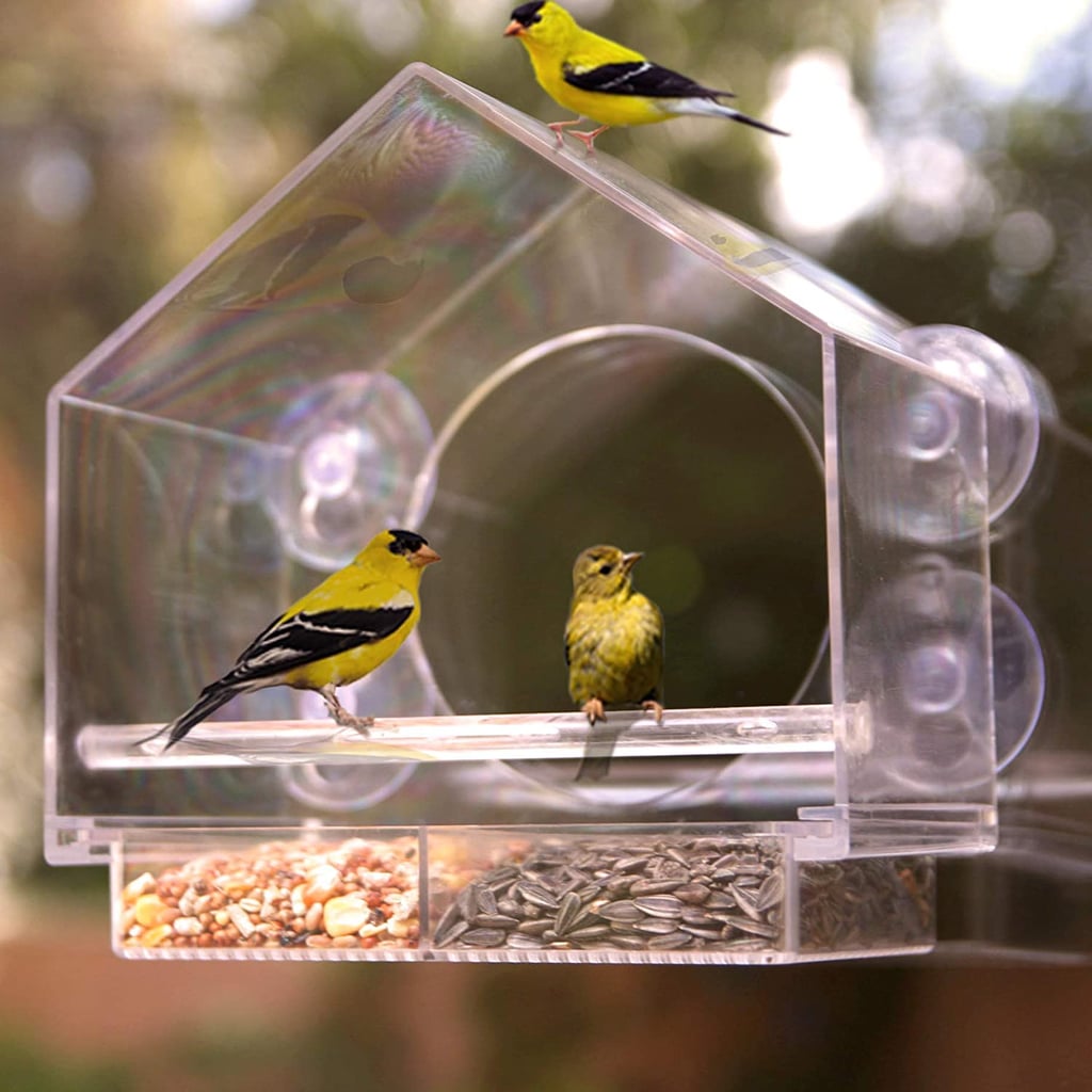 Best Window Bird Feeder: Nature Anywhere Window Bird House Feeder