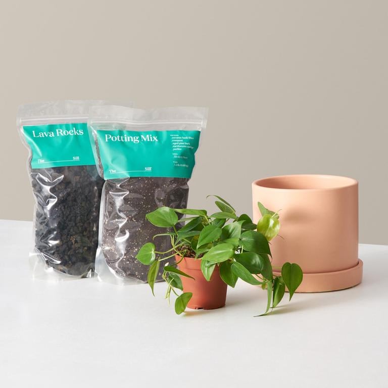 13 Useful Gifts For Plant Parents of All Levels