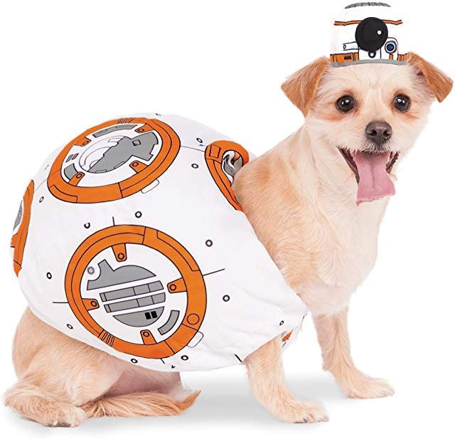 BB-8 Dog Halloween Costume