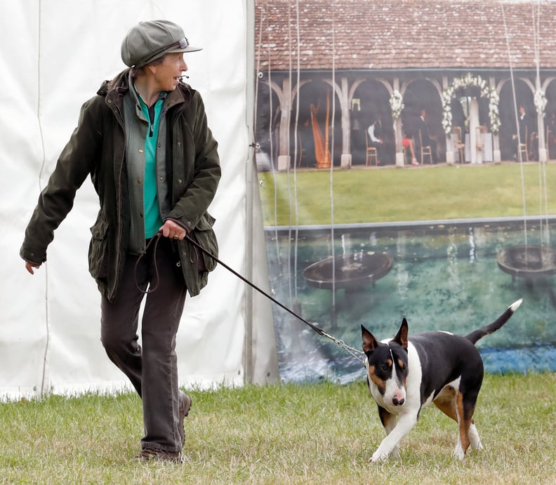 Princess Anne With Her English Bull Terrier