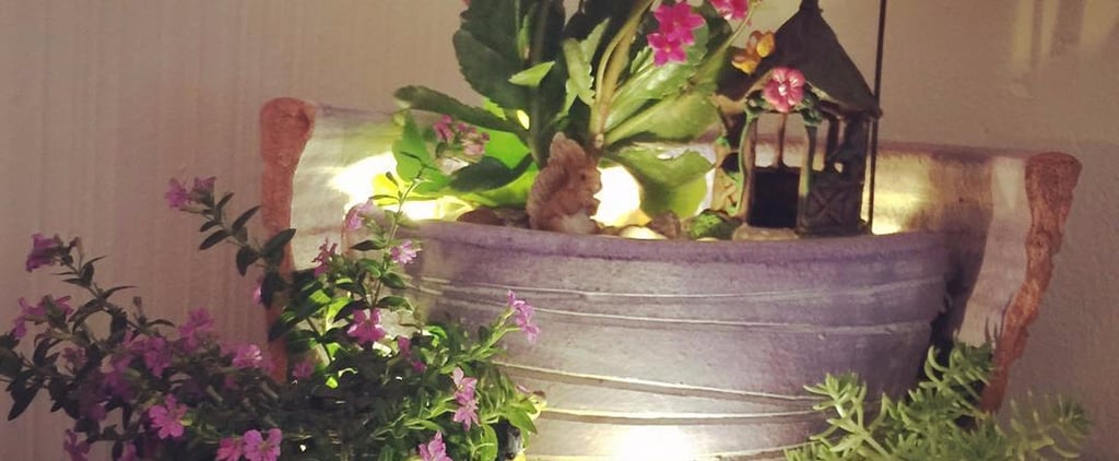 Fairy Garden Ideas