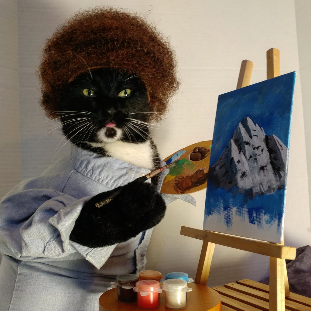 Cat Cosplaying as Bob Ross