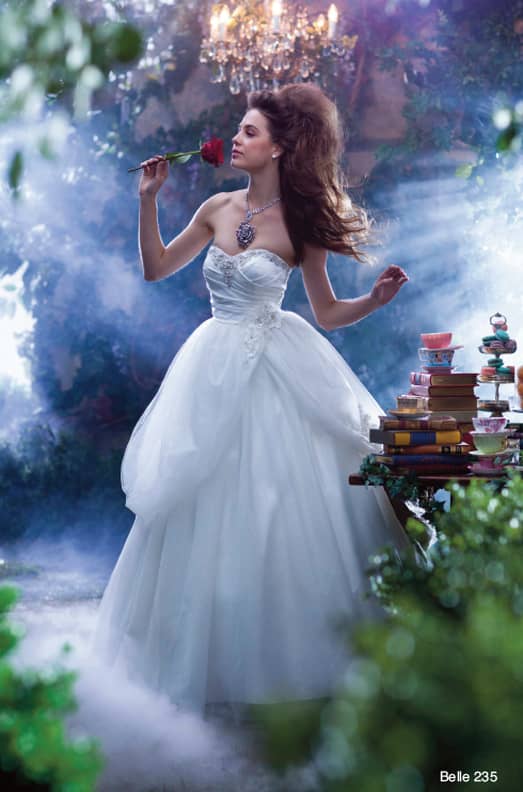 Disney Princess Wedding Ideas