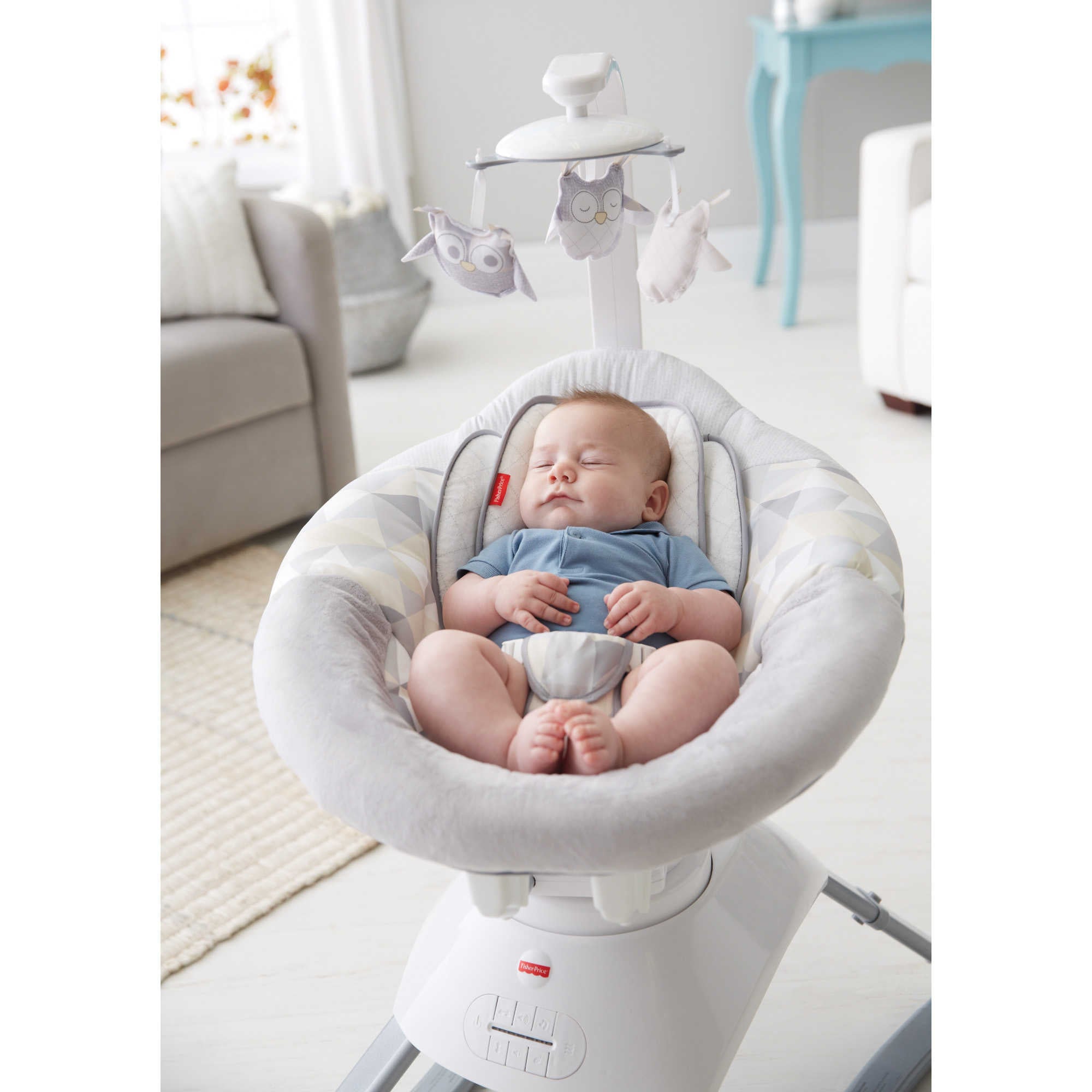 fisher price smart seat
