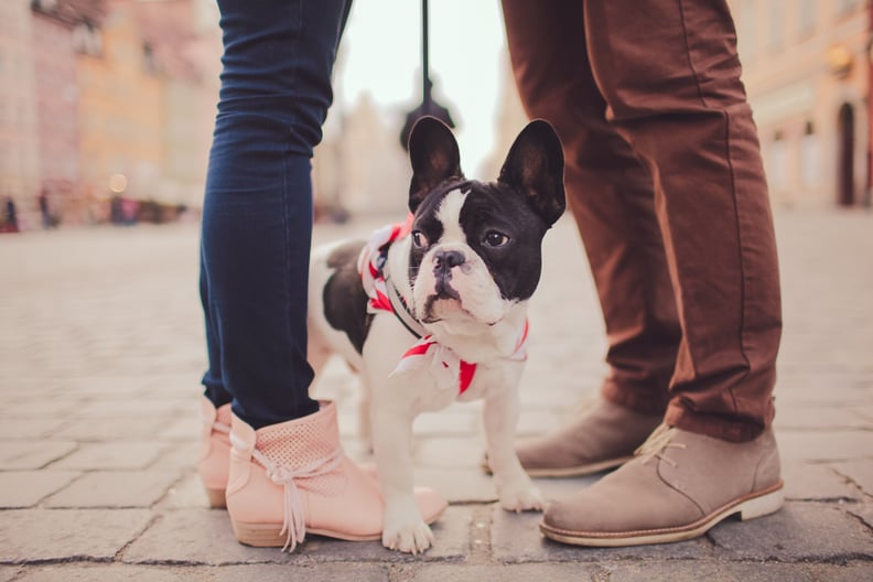 Engagement Photo Idea: Have a Photo Shoot With Your Pet