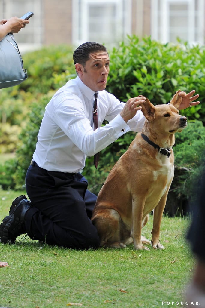 Tom Hardy With a Dog on the Set of Legend