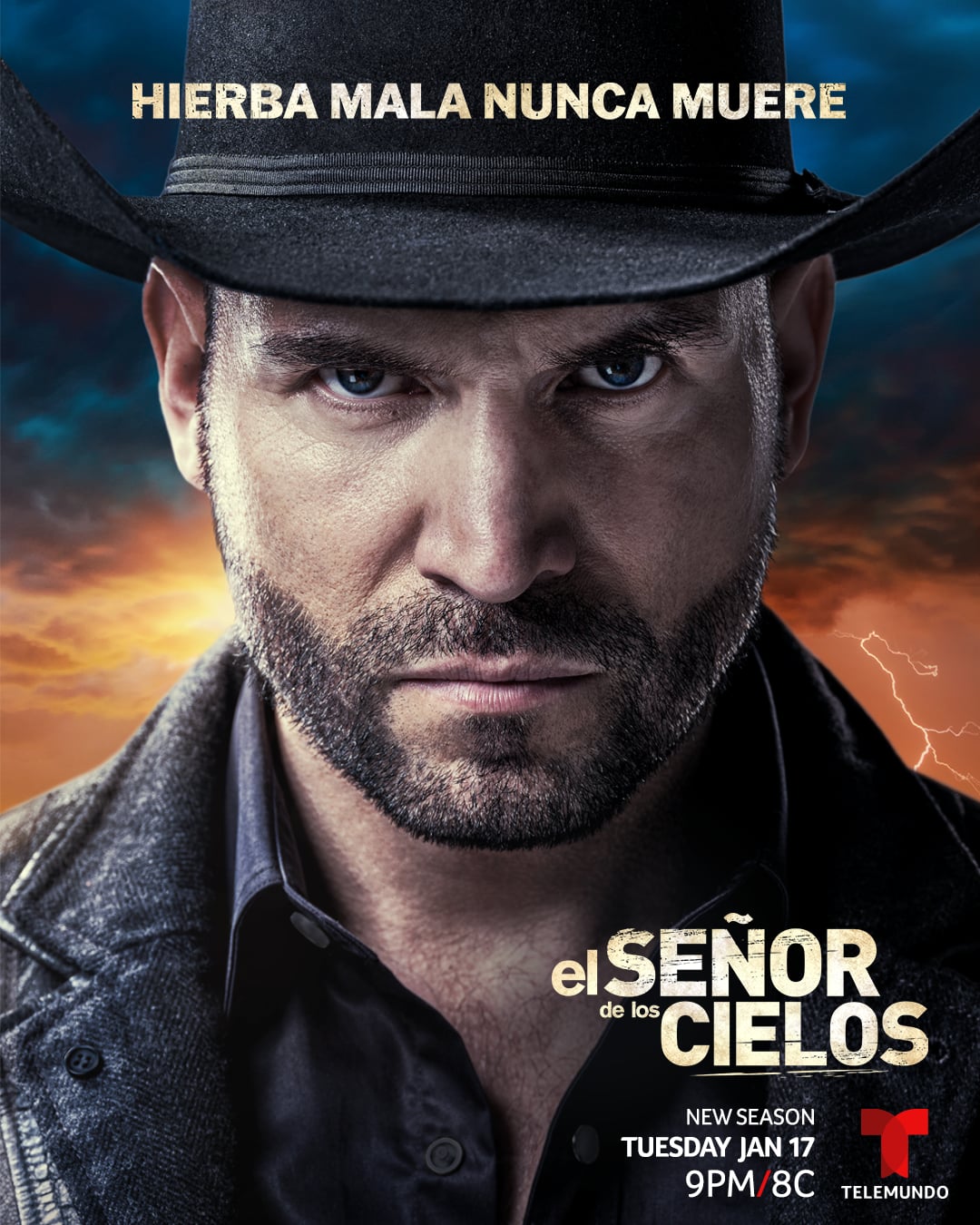 El Señor De Los Cielos Season 8 Is Worth Watching Popsugar Entertainment