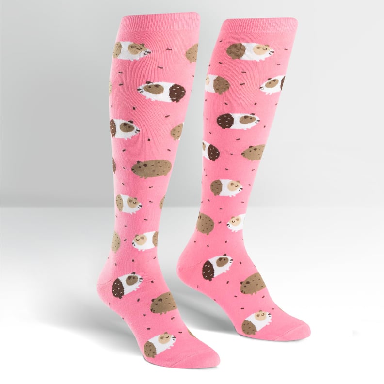 Guinea Pig Socks