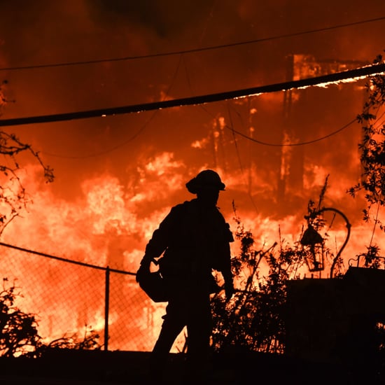California Wildfires in Ventura and Butte County | Pictures