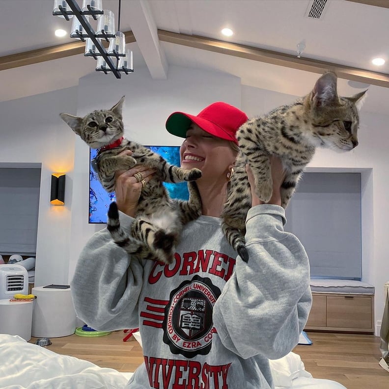 The Best College Sweatshirts to Shop Now PS UK Fashion