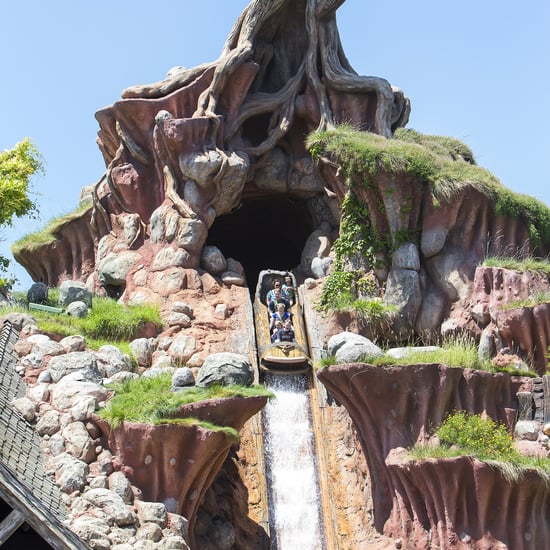 7 Fun Facts About Disney's Splash Mountain