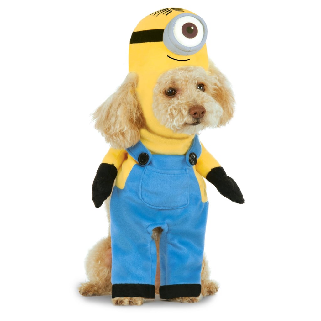 Minion Pet Dog Costume | Cheap Pet Costumes | POPSUGAR Smart Living Photo 6