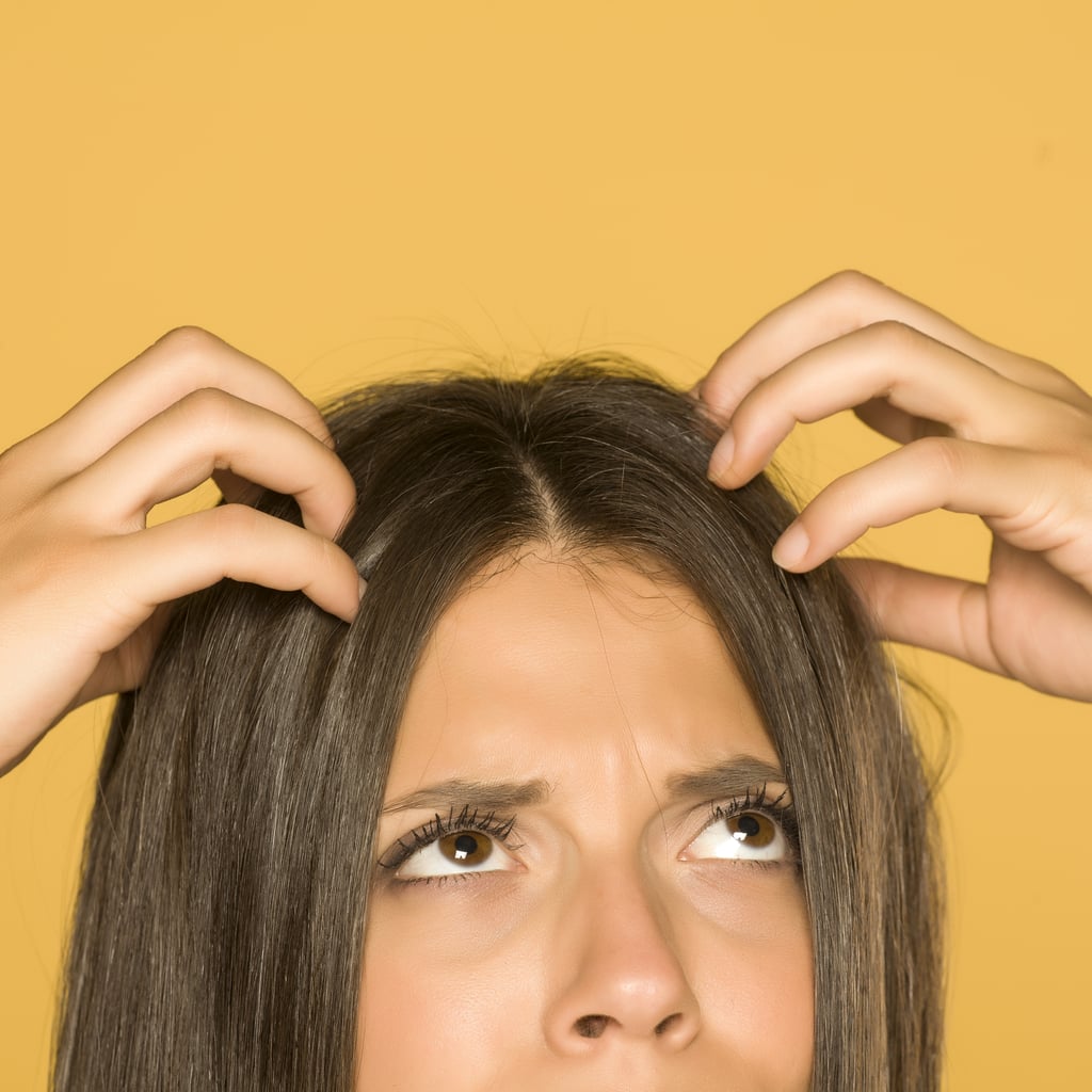 What Is Scalp Malassezia? Exploring the Fungal World of the Scalp Microbiome