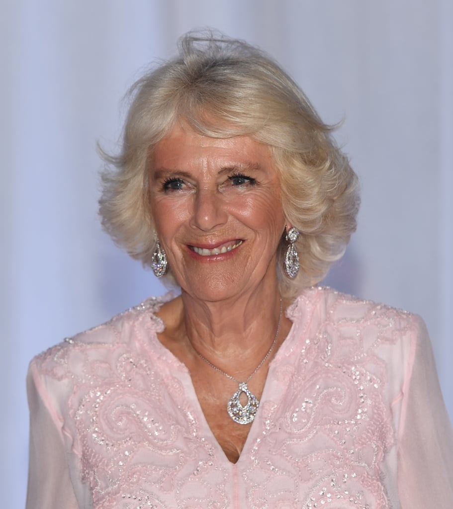 Prince Charles and Duchess Camilla Dancing in Ghana Video