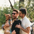 Experts Share What You Need to Know About Adopting a Pet With a Partner