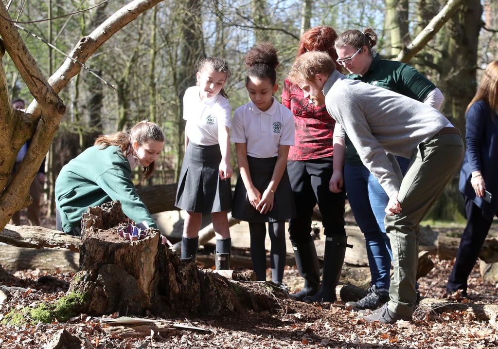 Prince Harry in Epping Forest Photos March 2017