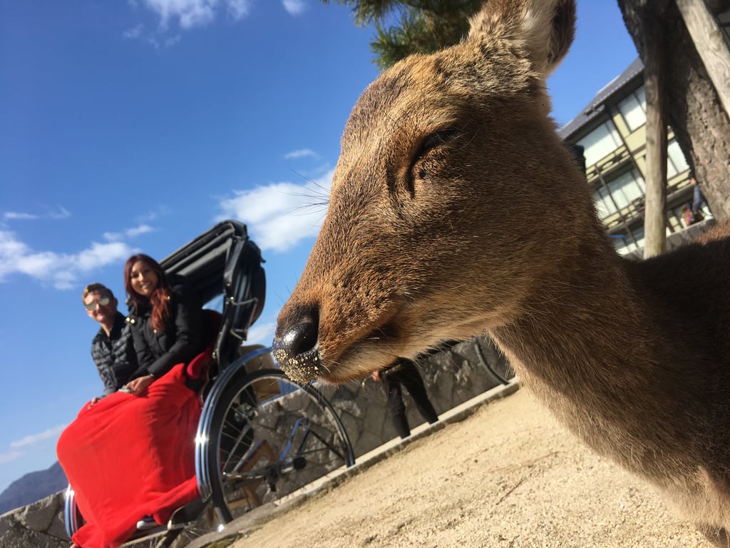 Miyajima Island