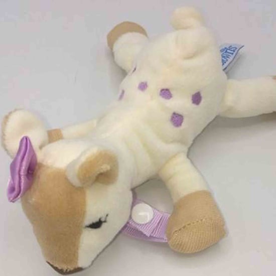 Dr. Brown’s Lovey Pacifier and Teether Recall
