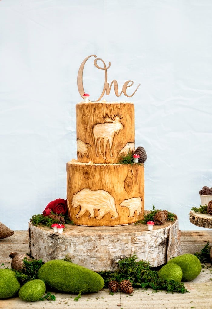 Wilderness-Themed Birthday Party