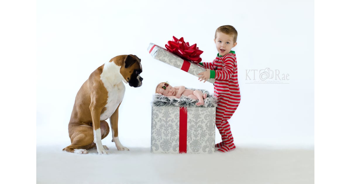 Adorable Baby and Puppy Christmas Picture Ideas | POPSUGAR Family Photo 7