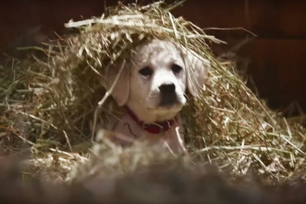 Super Bowl Commercials 2015