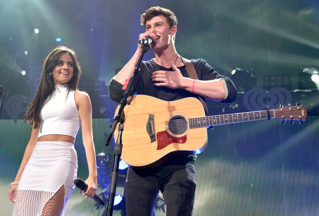 Camila Cabello and Shawn Mendes's Cutest Pictures