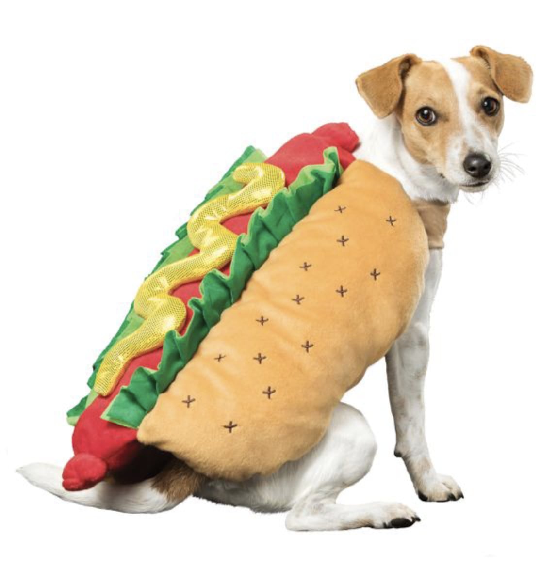 Dog Halloween Costumes 2018 Popsugar Family