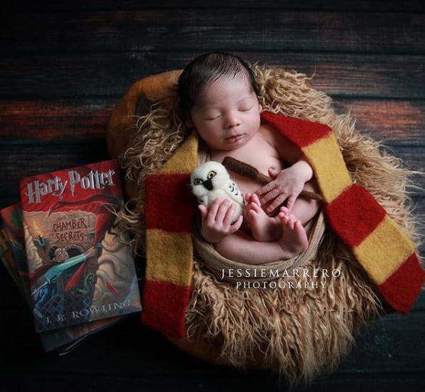 We're thinking Dumbledore would be proud of this one — and check out Hedwig!