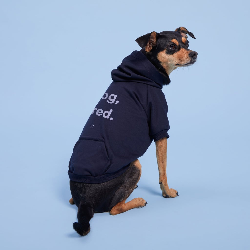 Casper Dog Hoodie