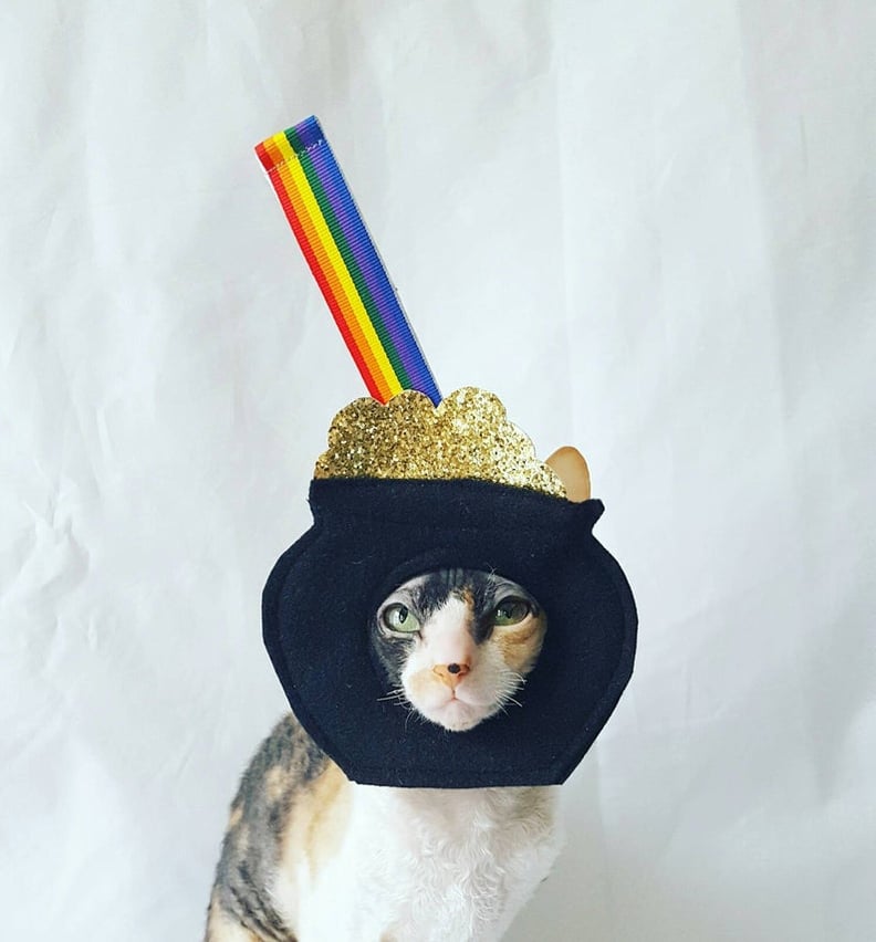 Pot O Gold Costume For Pets