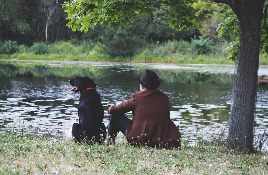 101 Dalmatians Engagement Photos