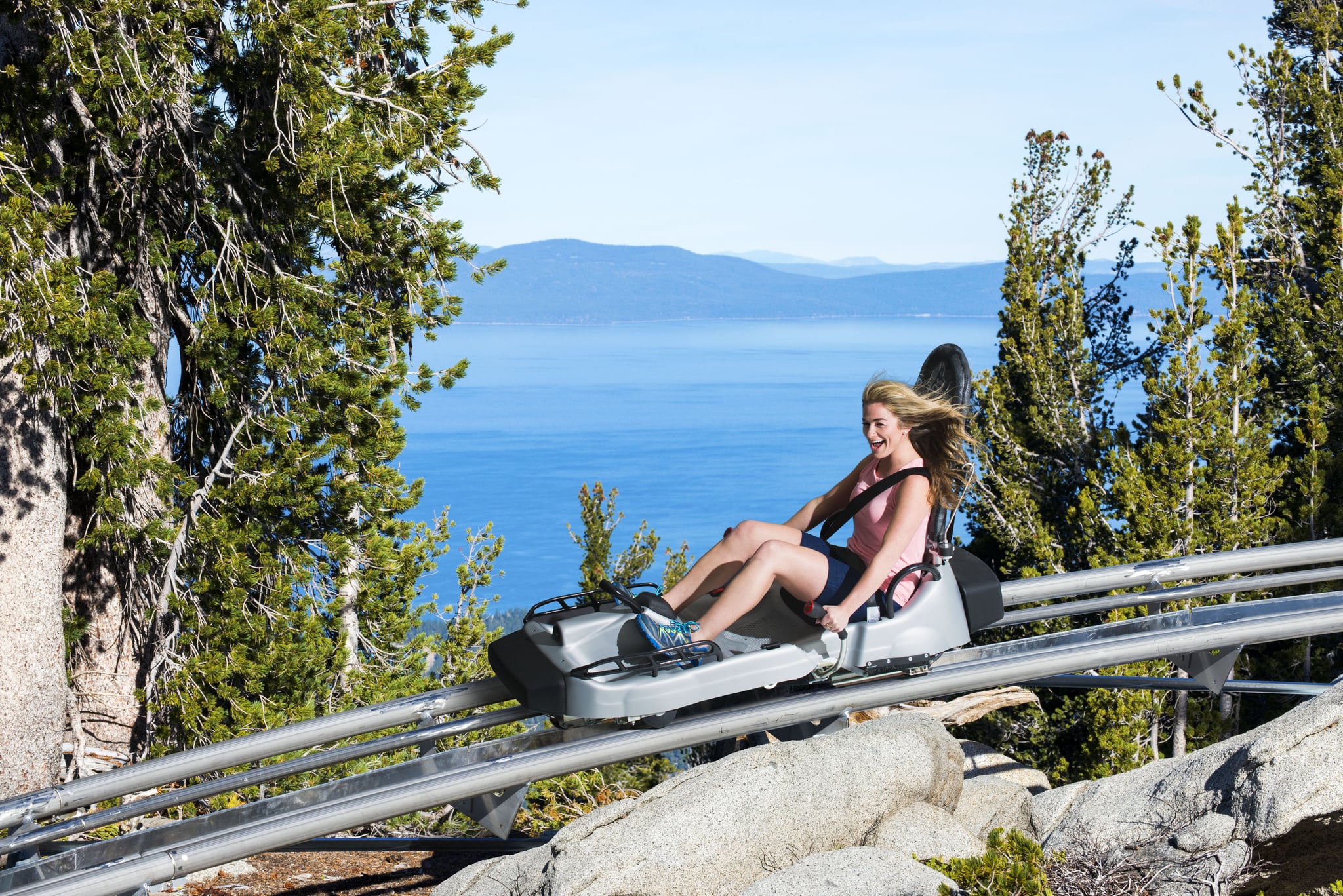 Fly Through the Forest on This Mountain Coaster With Spectacular Views in T...