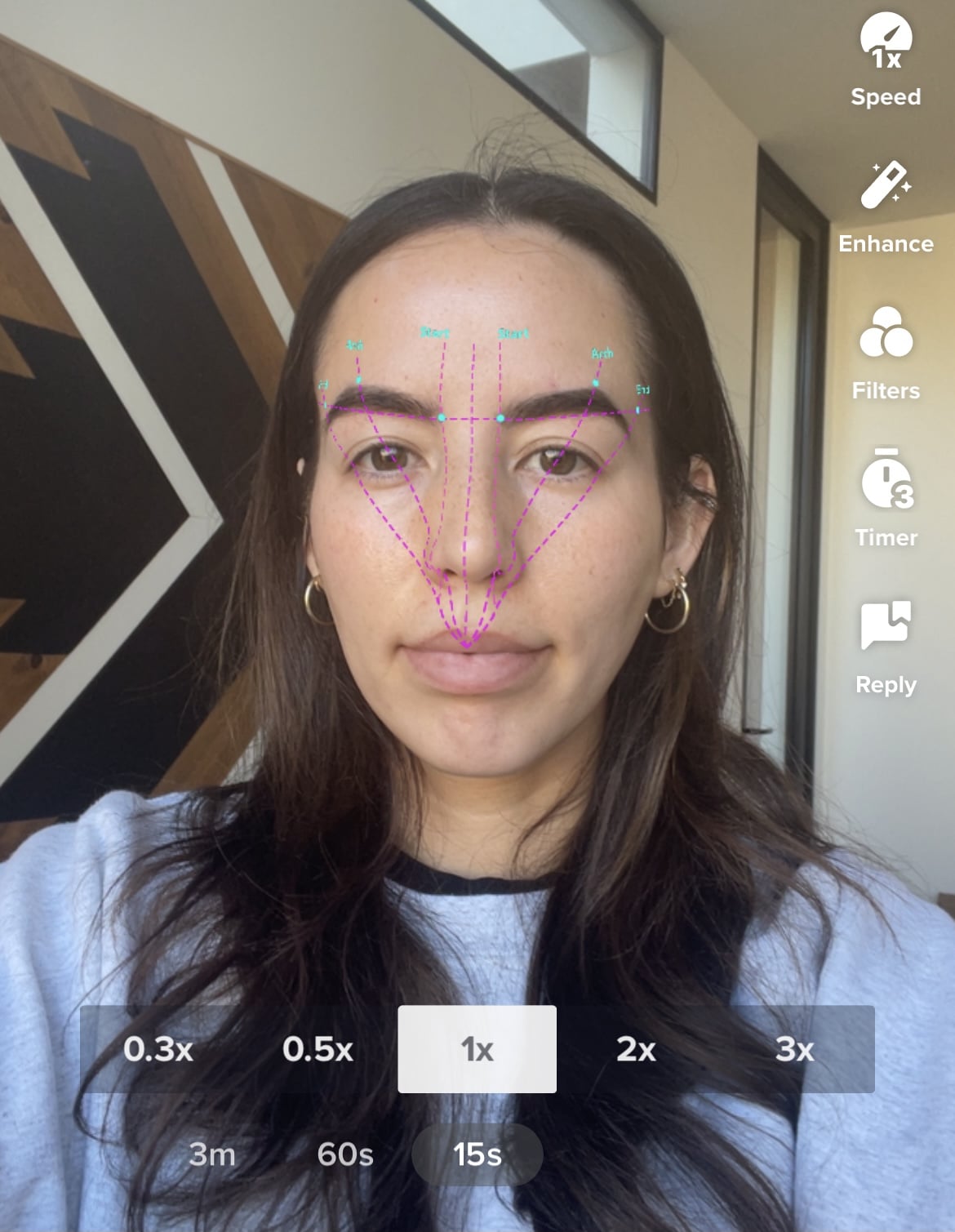 tiktok brow mapping filter hack