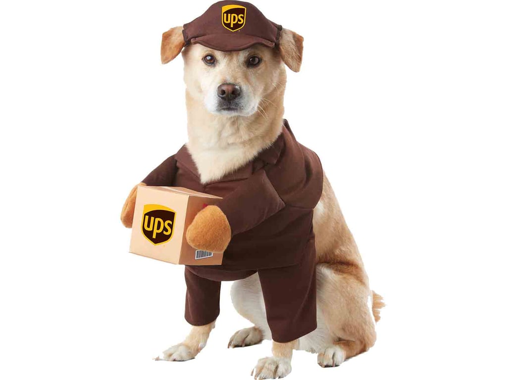 UPS Delivery Driver Dog Costume Pet Costumes POPSUGAR Smart Living Photo 3