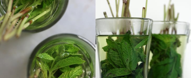 Mint Tea Recipe