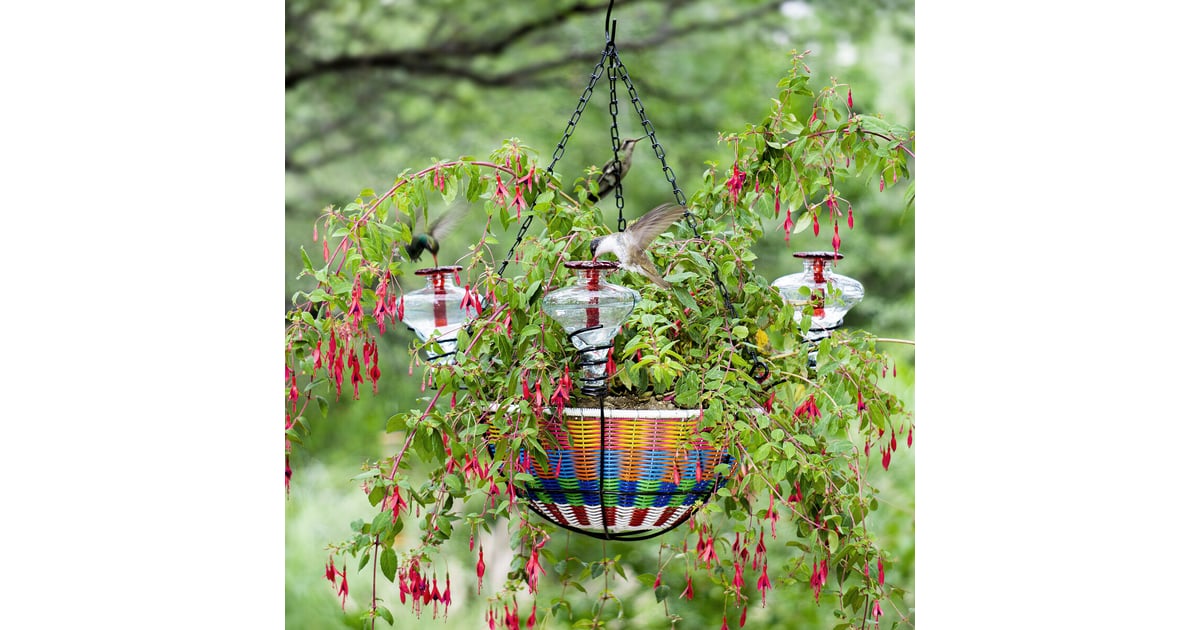 Hanging Basket Hummingbird Feeder 