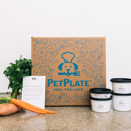 PetPlate Pet Food Delivery Review