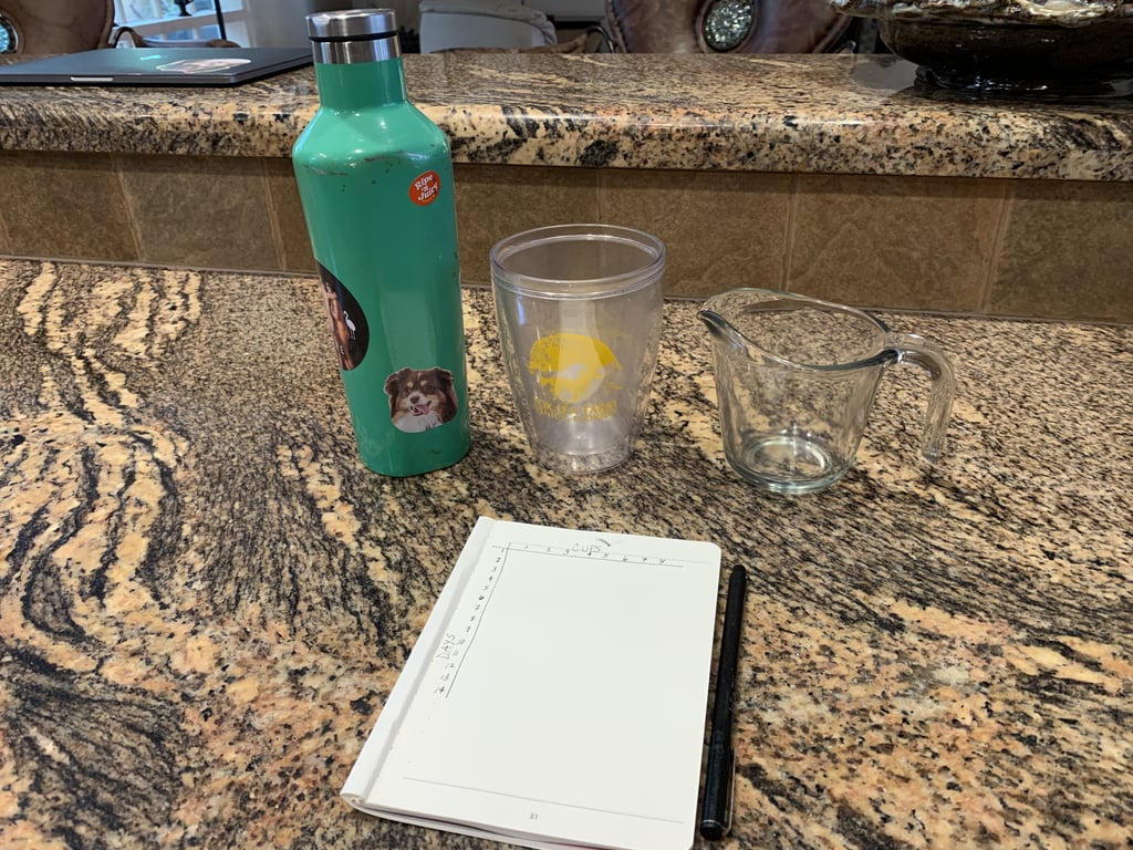 Like any good Journalist with a capital J, I began by assembling my materials: My trusty Corkcicle for any outdoor drinking, a classic Tervis Tumbler (Florida people, IYKYK) from my parents' kitchen for variety I guess, a measuring glass to make sure I was pouring accurate numbers, and a hand-written chart to track my progress.

At first I was like, "No biggie, eight glasses is nothin'!" However, around the fourth or fifth glass each day, the dread would start to kick in — and my bladder would start to get fussy. I've literally never peed so much in my life as in these past 14 days. To be honest, it was rather uncomfortable — and the payoff turned out to be pretty insubstantial.