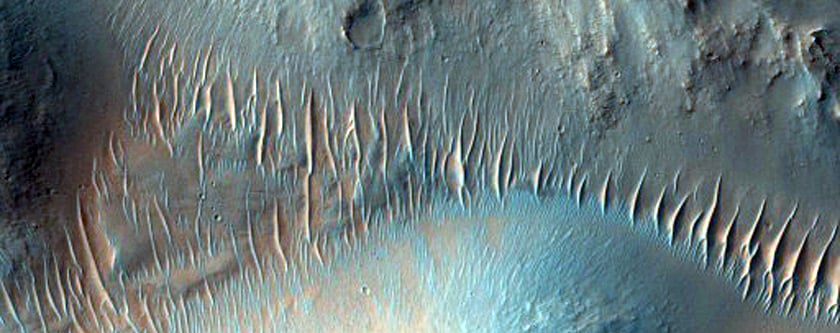 Small Tributary Deposit and Transverse Aeolian Ridges in Nirgal Vallis